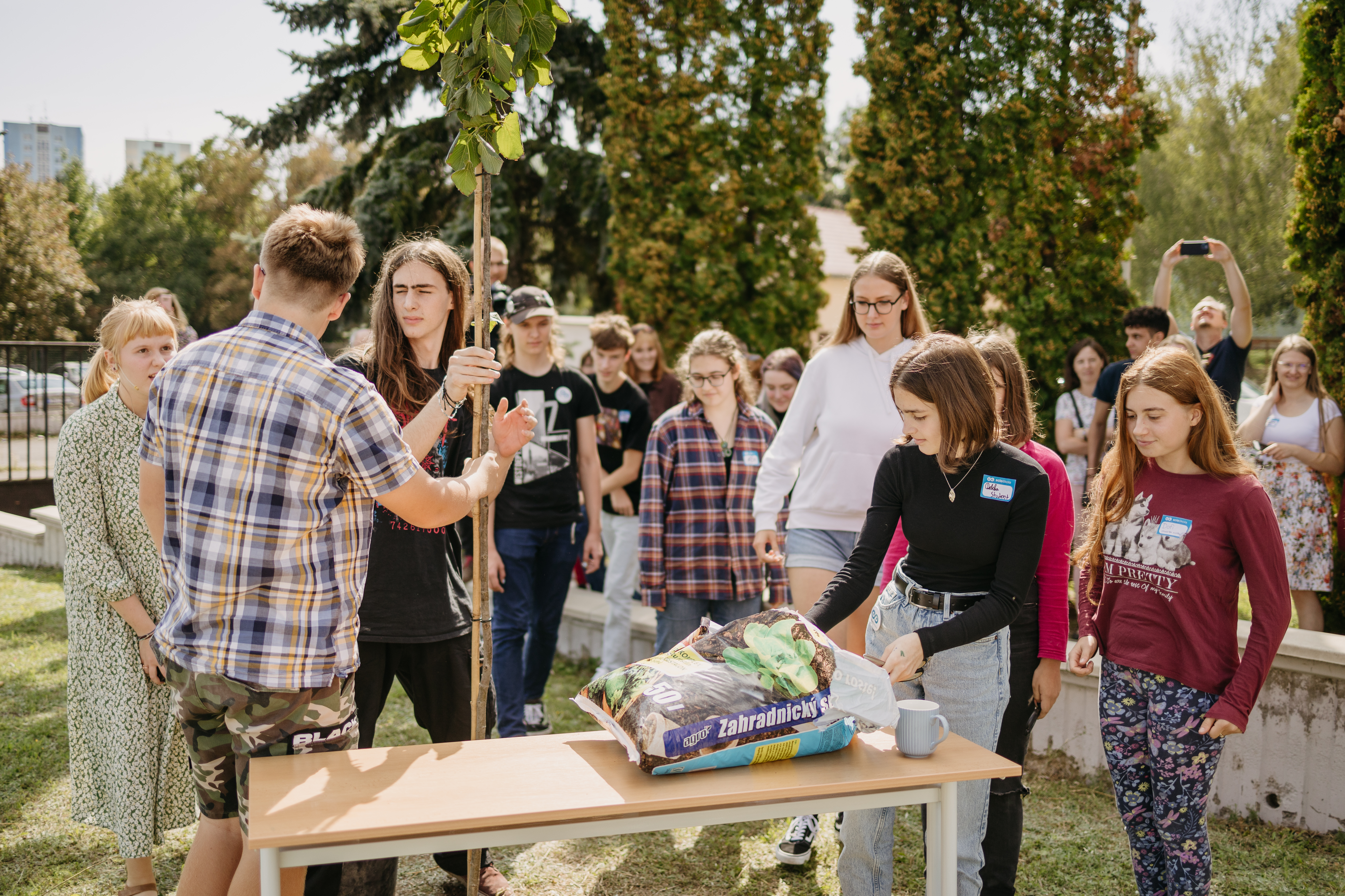 Studenti sází školní lípu